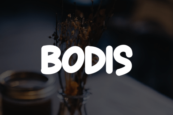 Bodis: A Bold and Playful Display Font