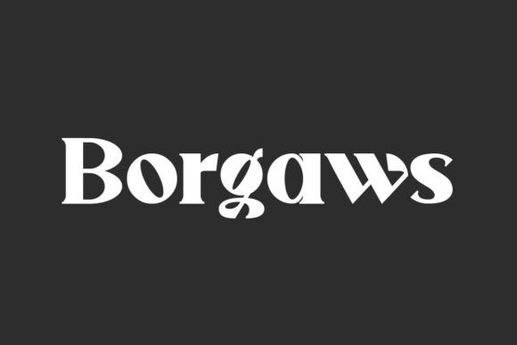Discover Borgaws: A Versatile and Bold Typeface